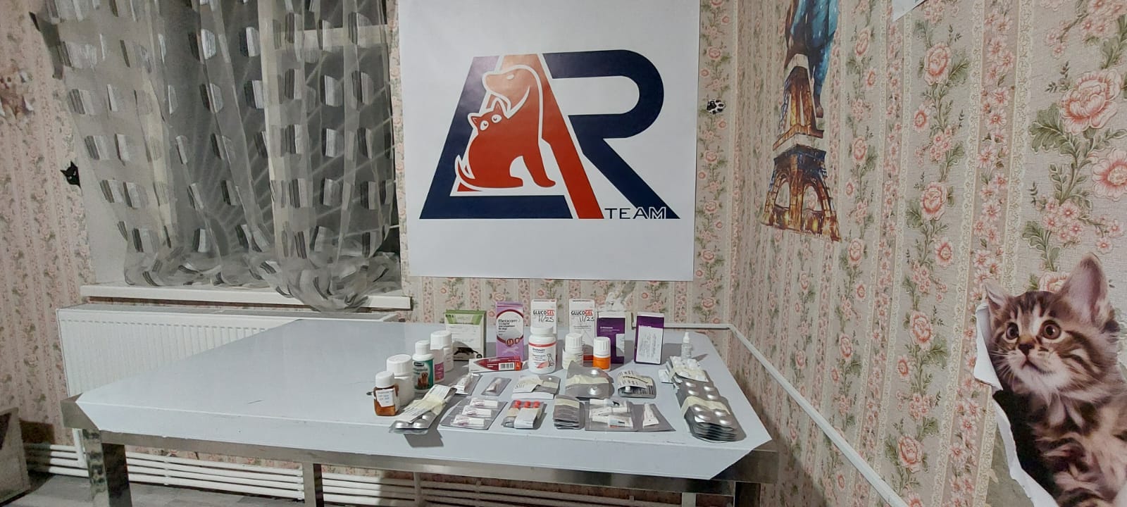 Antibiotics, painkillers, drips and dressings for the Gyumri clinic.