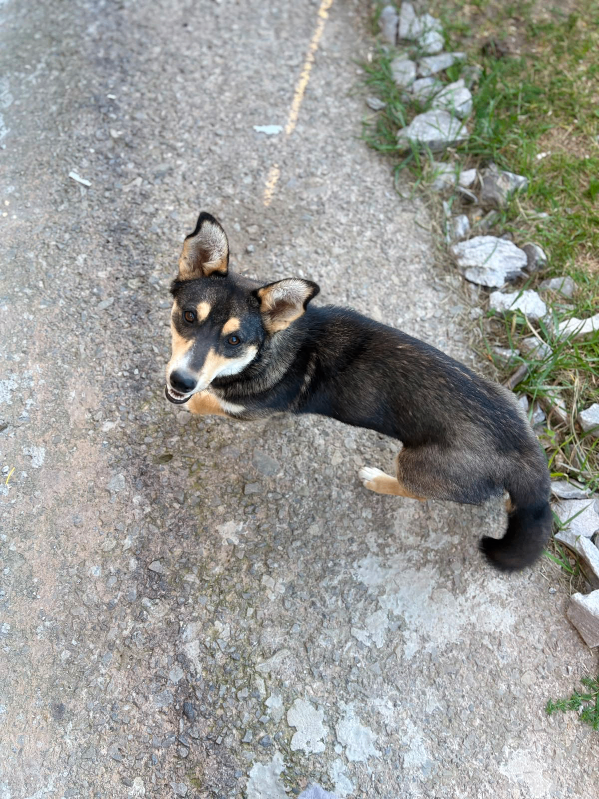 Afina