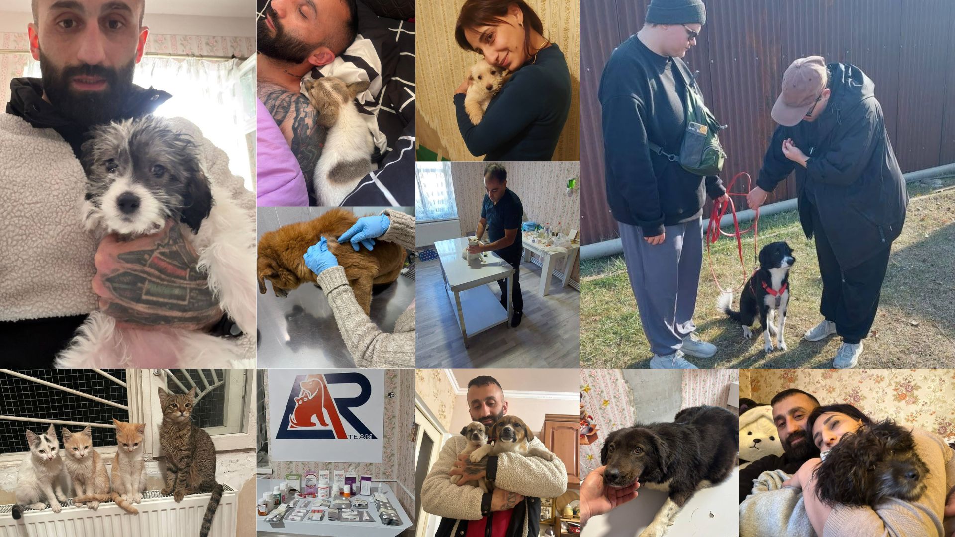 A collage of the HyeTails team and rescued animals in Armenia